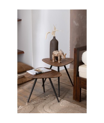 Set de 2 Tables basses Triangulaire Teck Recyclé Naturel de la marque