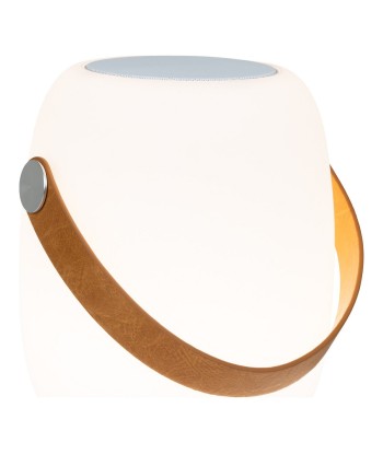 ENCEINTE - Haut-parleur Bluetooth / LED - avec dragonne, rechargeable, blanche Véritable concentré