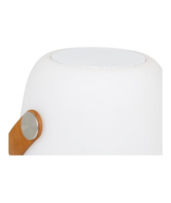 ENCEINTE - Haut-parleur Bluetooth / LED - avec dragonne, rechargeable, blanche Véritable concentré