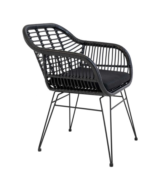 TRIESTE - Chaise jardin - Rotin synthétique noir - lot de 2 Amélioration de cerveau avec