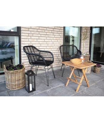 TRIESTE - Chaise jardin - Rotin synthétique noir - lot de 2 Amélioration de cerveau avec