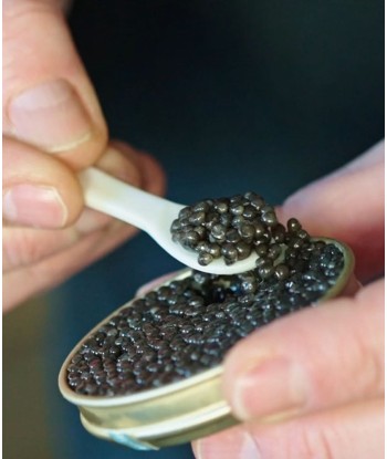 Caviar Beluga d'Aquitaine - 125g plus qu'un jeu 