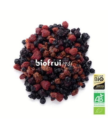 Biofrui 1981 -- Mix superfruits rouges des alpes dinariques séchés bio Vrac - 1 kg En savoir plus