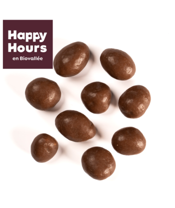 Happy Hours En Biovallée -- Choco nuts Vrac - 5 kg Livraison rapide