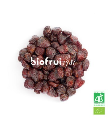 Biofrui 1981 -- Fraise senga des alpes dinariques séchée entière bio Vrac (origine UE) - 1 kg Venez découvrir notre 