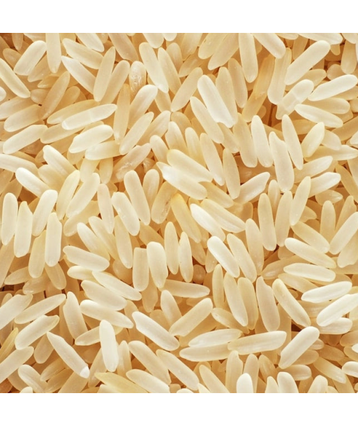 Senfas -- Riz de camargue igp long semi complet bio Vrac (origine France) - 10 kg Les magasins à Paris et en Île-de-France