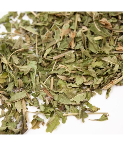 Tisanes Le Dauphin -- Verveine en feuilles coupées bio drôme Vrac (origine France) - 1 kg Véritable concentré