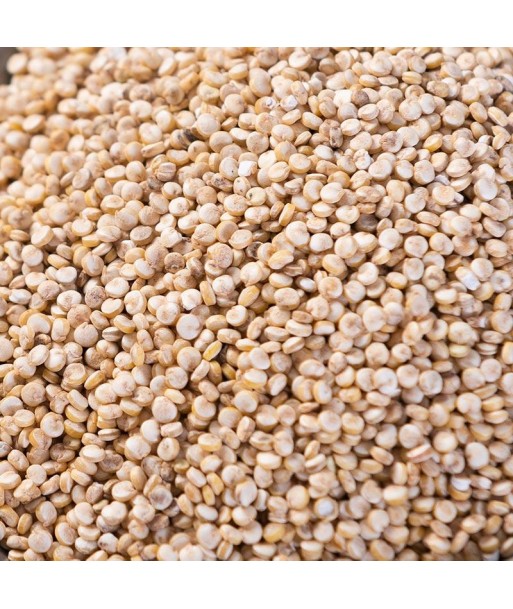 Priméal -- Quinoa blanc nature real bio Vrac (origine Bolivie) - 5 kg Pour