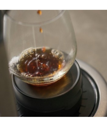 Sage Precision Brewer Glass - machine à café à filtre Les êtres humains sont 