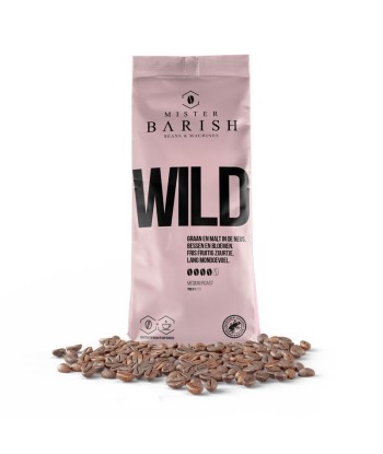 WILD – Mister Barish – café en grains – 750 g Paris Déstockage Promo